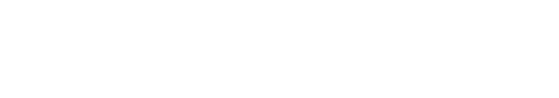 BSM